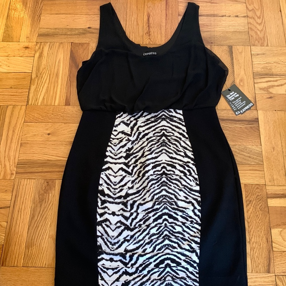 COPY - EXPRESS Fitted Dress